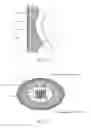 Fig. 12 - Coupling element for optical fiber cables