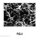 Fig. 08 - FLOW CELL AND METHOD FOR MANUFACTURING THE SAME