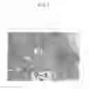 Fig. 08 - Water Having Anticancer Activity and Method for Making the Same
