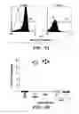 Fig. 08 - Method for delivery across the blood brain barrier
