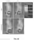 Fig. 05 - Ionic complex nanoparticles for detecting heparanase activities and method for preparing the same