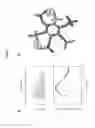 Fig. 09 - Magnetic resonance imaging contrast agent with paramagnetic-inositol phosphates complexes