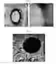 Fig. 04 - Perfluorocarbon nano-emulsion containing quantum dot nanoparticles and method for preparing the same
