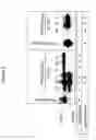 Fig. 06 - CONFORMATIONALLY DYNAMIC PEPTIDES