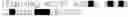 Fig. 47 - CONFORMATIONALLY DYNAMIC PEPTIDES