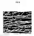 Fig. 09 - Multilayer fibrous polymer scaffolds, methods of production and methods of use