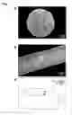 Fig. 02 - COLLAGEN-CONTAINING CELL CARRIER