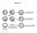 Fig. 02 - Stem Cells Derived from Uniparental Embryos and Methods of Use Thereof