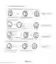 Fig. 03 - Stem Cells Derived from Uniparental Embryos and Methods of Use Thereof
