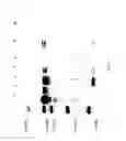 Fig. 14 - COMPOSITIONS AND METHODS FOR TREATING COLLAGEN-MEDIATED DISEASES