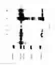Fig. 16 - COMPOSITIONS AND METHODS FOR TREATING COLLAGEN-MEDIATED DISEASES
