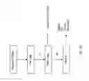 Fig. 30 - COMPOSITIONS AND METHODS FOR TREATING COLLAGEN-MEDIATED DISEASES