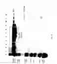Fig. 48 - COMPOSITIONS AND METHODS FOR TREATING COLLAGEN-MEDIATED DISEASES