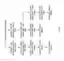 Fig. 74 - COMPOSITIONS AND METHODS FOR TREATING COLLAGEN-MEDIATED DISEASES