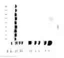 Fig. 82 - COMPOSITIONS AND METHODS FOR TREATING COLLAGEN-MEDIATED DISEASES
