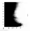 Fig. 84 - COMPOSITIONS AND METHODS FOR TREATING COLLAGEN-MEDIATED DISEASES
