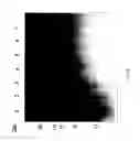 Fig. 86 - COMPOSITIONS AND METHODS FOR TREATING COLLAGEN-MEDIATED DISEASES