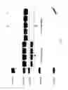 Fig. 95 - COMPOSITIONS AND METHODS FOR TREATING COLLAGEN-MEDIATED DISEASES