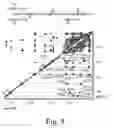 Fig. 09 - Anthrax carbohydrates, synthesis and uses thereof