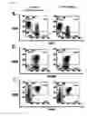 Fig. 06 - Manufacturing Method of Activated Lymphocytes for Immunotherapy