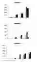 Fig. 02 - ADJUVANTED ANTIGENIC MENINGOCOCCAL COMPOSITIONS