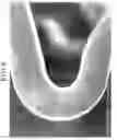 Fig. 07 - IN-VIVO INDWELLING DEVICE