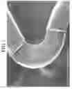 Fig. 08 - IN-VIVO INDWELLING DEVICE