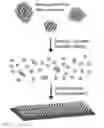 Fig. 09 - Templated islet cells and small islet cell clusters for diabetes treatment