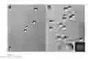 Fig. 10 - Templated islet cells and small islet cell clusters for diabetes treatment