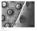 Fig. 17 - Templated islet cells and small islet cell clusters for diabetes treatment