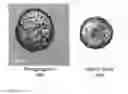 Fig. 31 - Templated islet cells and small islet cell clusters for diabetes treatment