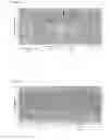 Fig. 07 - VACCINE