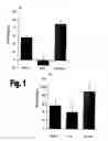 Fig. 02 - SYNERGISTIC COMBINATIONS FOR TREATING HYPERTENSION