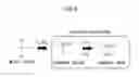Fig. 08 - METHOD OF MANUFACTURING RESIN MOLDED ARTICLE, INKJET HEAD AND ELECTRONIC DEVICE