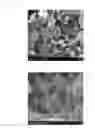 Fig. 04 - POLYTETRAFLUOROETHYLENE COATING AGENT, METHOD OF PREPARATION AND USE
