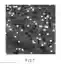 Fig. 08 - IMMOBILIZATION OF METAL NANOPARTICLES