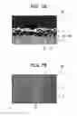 Fig. 07 - Rechargeable battery, anode, and current collector