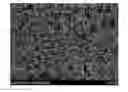 Fig. 01 - Lithium iron phosphate having olivine structure and method for preparing the same