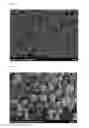 Fig. 02 - Lithium iron phosphate having olivine structure and method for preparing the same