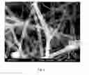 Fig. 08 - Nanowire-based membrane electrode assemblies for fuel cells