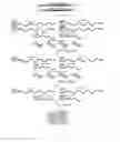 Fig. 02 - DETECTION OF TRUNCATION MUTATIONS IN A LARGE BACKGROUND OF NORMAL DNA