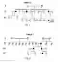 Fig. 02 - UBIAD1 GENE AND HYPERLIPIDEMIA