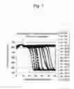 Fig. 02 - Method of nucleic acid amplification and measuring reagent and reagent kit therefor