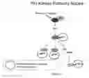 Fig. 03 - MULTIPLE MECHANISMS FOR MODULATION OF THE PI3 KINASE PATHWAY