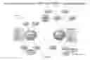 Fig. 05 - MULTIPLE MECHANISMS FOR MODULATION OF THE PI3 KINASE PATHWAY