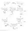 Fig. 01 - Enzyme substrates for visualizing acidic organelles