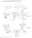 Fig. 02 - Enzyme substrates for visualizing acidic organelles