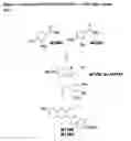 Fig. 07 - Enzyme substrates for visualizing acidic organelles