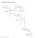 Fig. 08 - Enzyme substrates for visualizing acidic organelles
