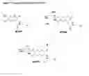 Fig. 09 - Enzyme substrates for visualizing acidic organelles